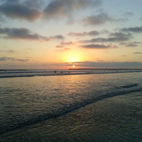 Meet your Posher, Pnut - Picture 1 of 1